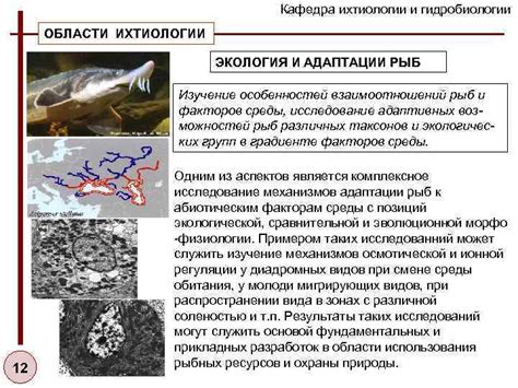 Шаг 1: Изучение особенностей местных видов рыб