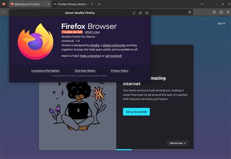 Шаг 3: Отмена установки Firefox в Управлении программ Ubuntu