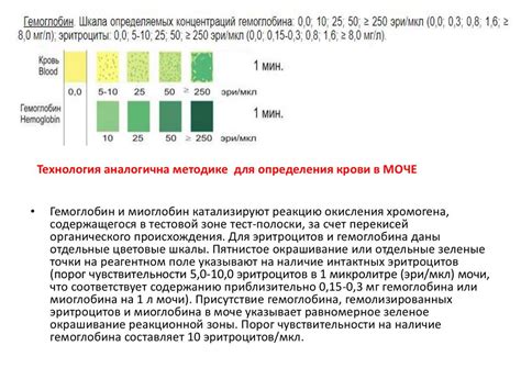 Шаг 6: Применение тест-полосок для оценки физико-химических свойств