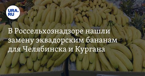 Эволюционная роль пристрастия к бананам и их вклад в выживаемость