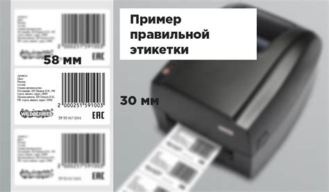 Экономьте время и упрощайте поиск правильного кода товара для декларации