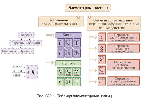 Элементарные частицы в структуре вещества: разнообразие и взаимодействия