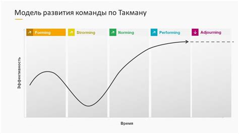 Этапы подготовки команды перед демонстрацией