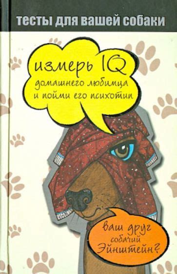 Эффективные методы поиска и обнаружения пропажи домашнего любимца