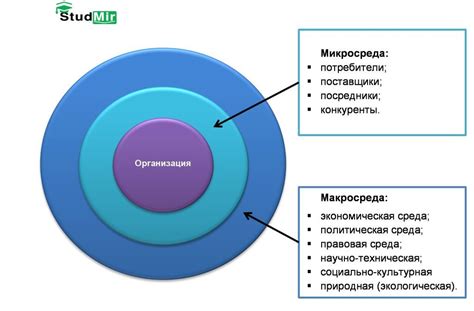  Анализ ключевых предметов и их воздействие на эффективность стратегии в игре "Путь Изгнанника" 