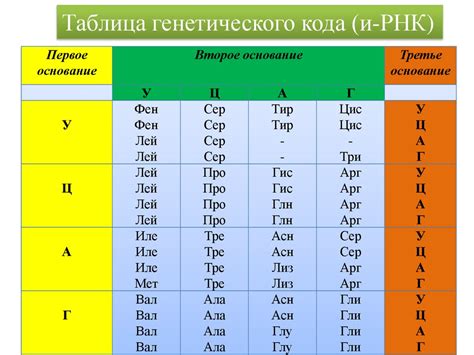  Варианты исследования генетического кода: доступные и простые методы 