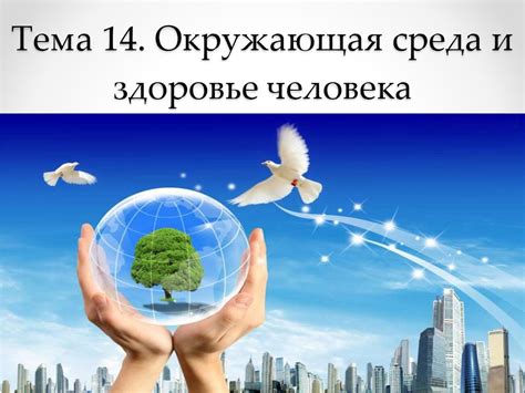  Воздействие окружающей среды на здоровье и продолжительность жизни 