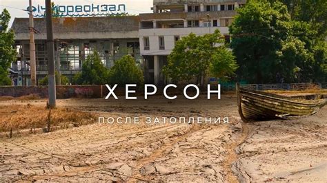  Восстановление после сельвиного разрушения 