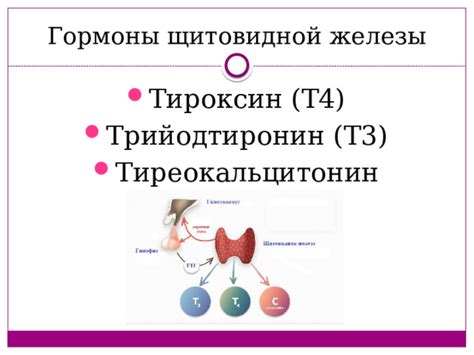  Заболевания щитовидной железы и повреждение паращитовидных желез 