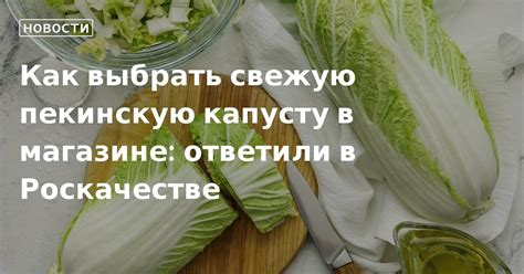  Как выбрать свежую капусту перед нарезкой 