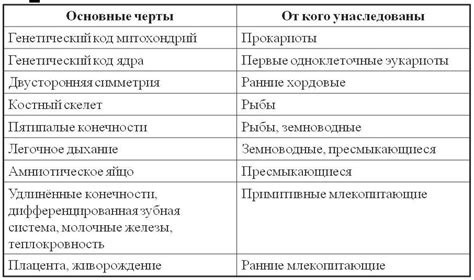  Ключевые отличия и сходства процессоров двух ведущих производителей 