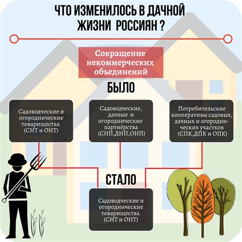  Организация территории для участка садоводства: ключевые моменты и важные аспекты 