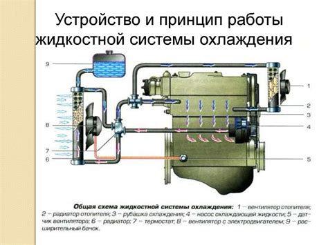  Проверка и обслуживание основных элементов системы охлаждения
