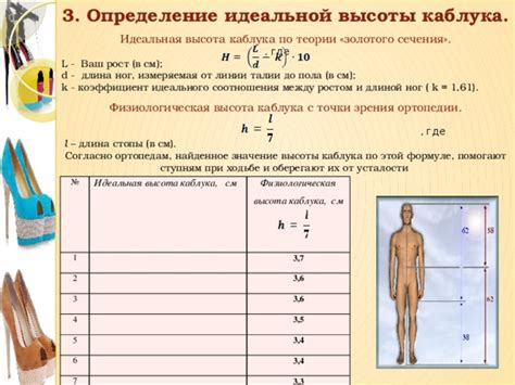  Раздел: Анализ соотношения объема и длины ног 