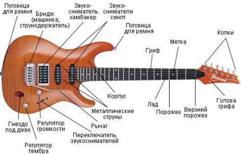  Разнообразие декоративных элементов для грифа и корпуса гитары 