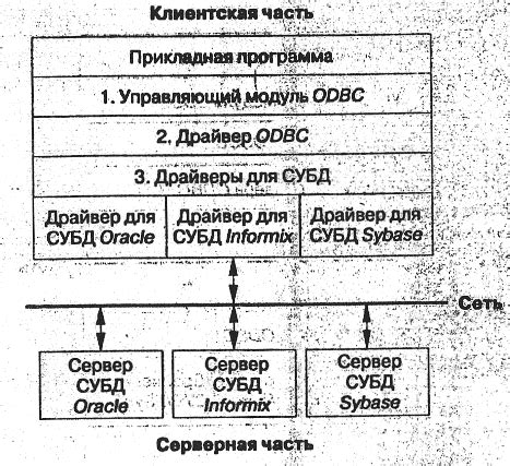  Роль ODBC в установлении связи с базами данных 