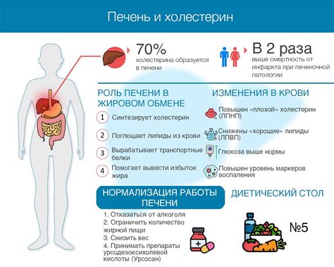  Связь между повышенным содержанием LDL холестерина и появлением сердечно-сосудистых заболеваний 