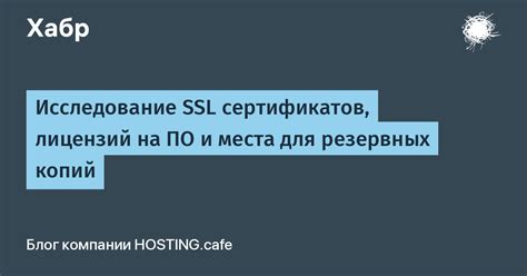  Советы и рекомендации по систематическому созданию резервных копий в мессенджере 