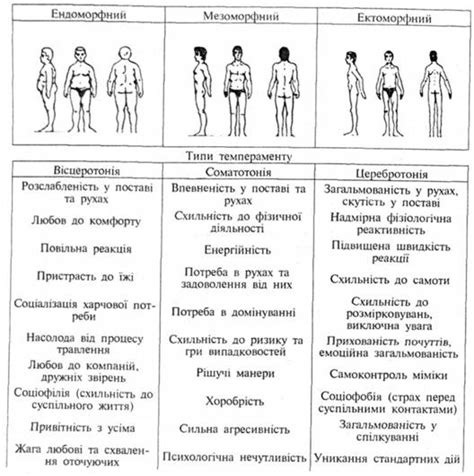  Соединение частей телосложения и придание им формы
