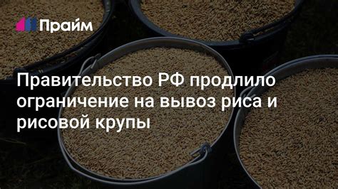  Спасительное свойство сухой рисовой крупы 