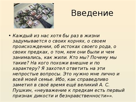  Узнайте об интересных корнях и происхождении этого незаурядного плода 